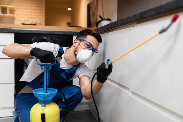Best Affordable Exterminators  in Willcox, AZ