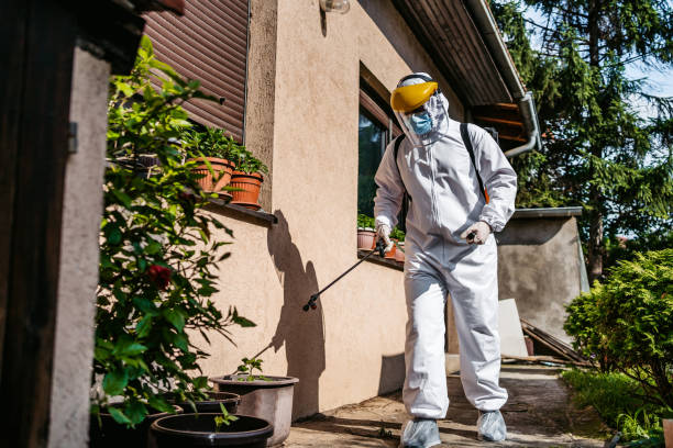 Best Residential Pest Control  in Willcox, AZ