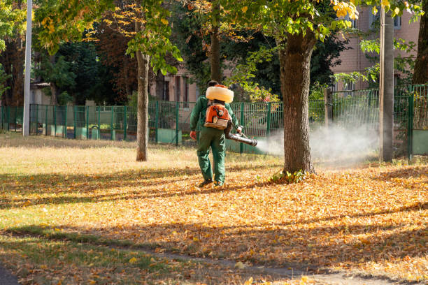 Best Wildlife Control Services  in Willcox, AZ