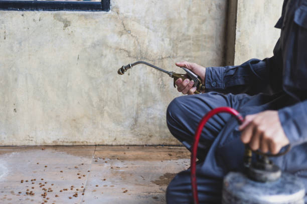Best Affordable Pest Control Services  in Willcox, AZ
